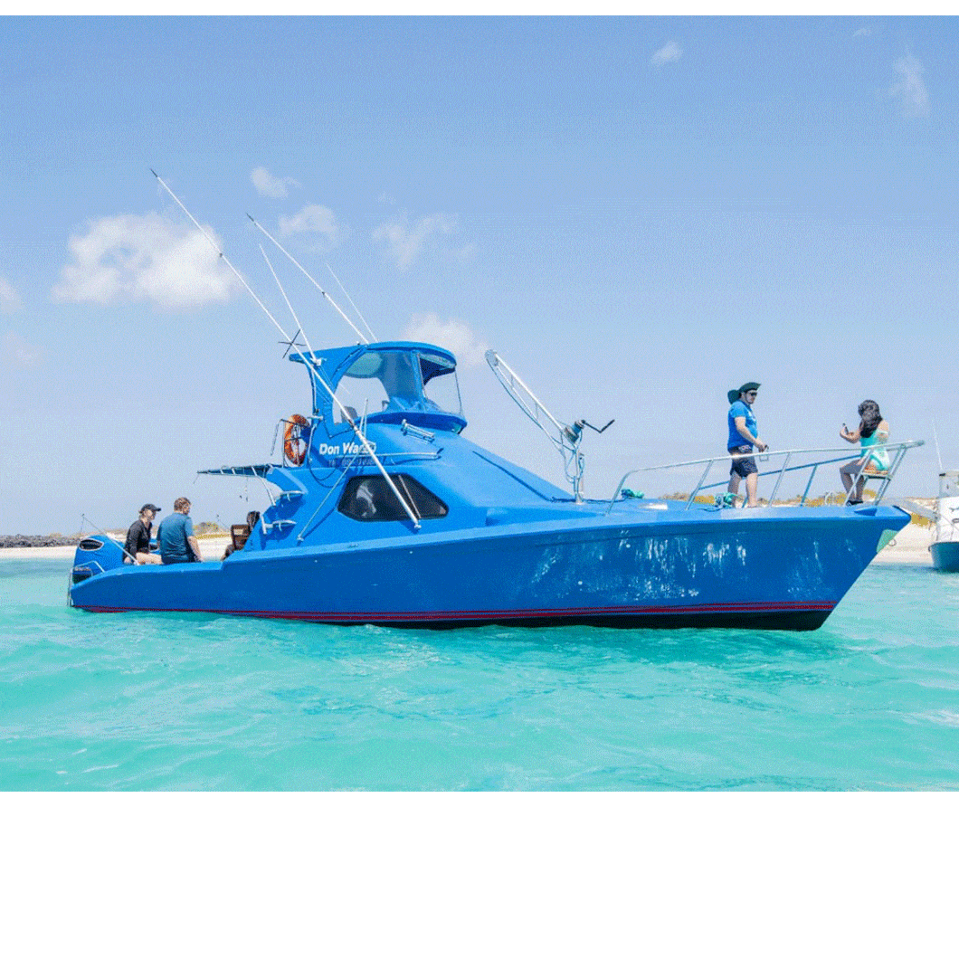 Corrección de Logo o Vectorización